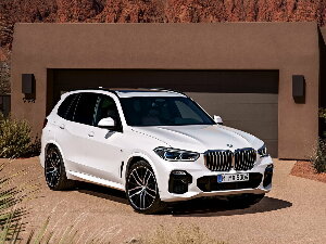 Коврики EVA для BMW X5 IV (suv / G05) 2018 - Н.В.